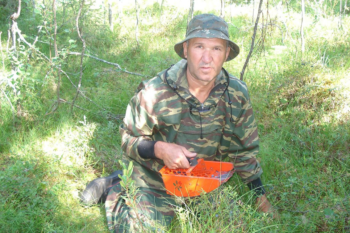 В Сосногорском районе медведь бил по рыбаку, как по мячику