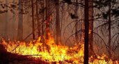 В Ухтинском и Сосногорском районах горят леса 
