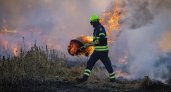 Пожар в Ухтинском лесничестве будут тушить парашютисты