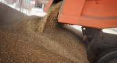 Объем экспорта российской пшеницы возрос в два раза