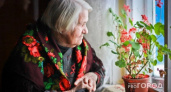 «Придется делиться всем»: пенсионеров, которые живут в квартире одни, ждет сюрприз