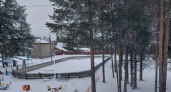 В одной из деревень Сосногорска хотят обустроить хоккейную площадку
