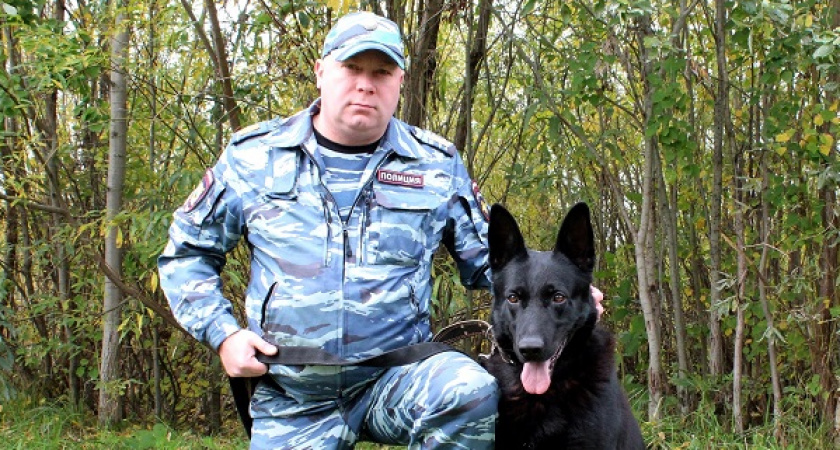 В Коми полицейская собака спасла заблудившегося пенсионера