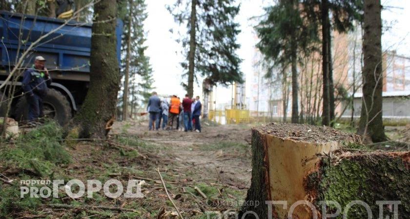 В Коми хотят построить более ста домов-офисов для лесничих