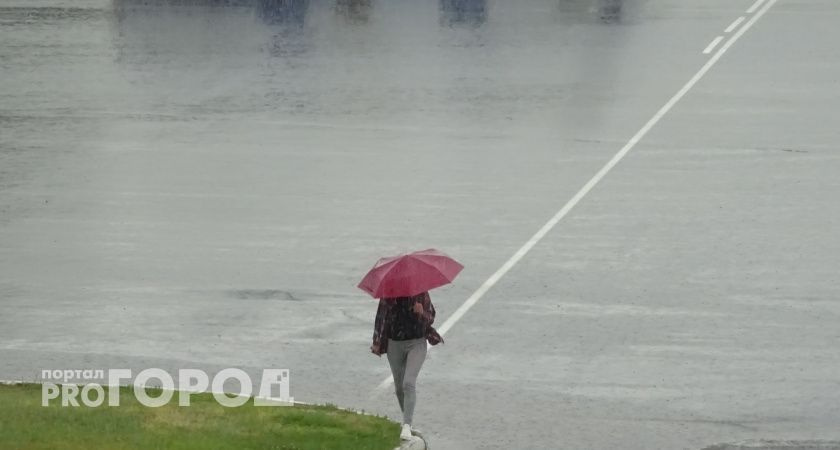 Жителям Коми пообещали дождливый май