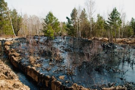 Ухтинский "Лукойл" обяжут очистить территории, которые загубил нефтеразлив