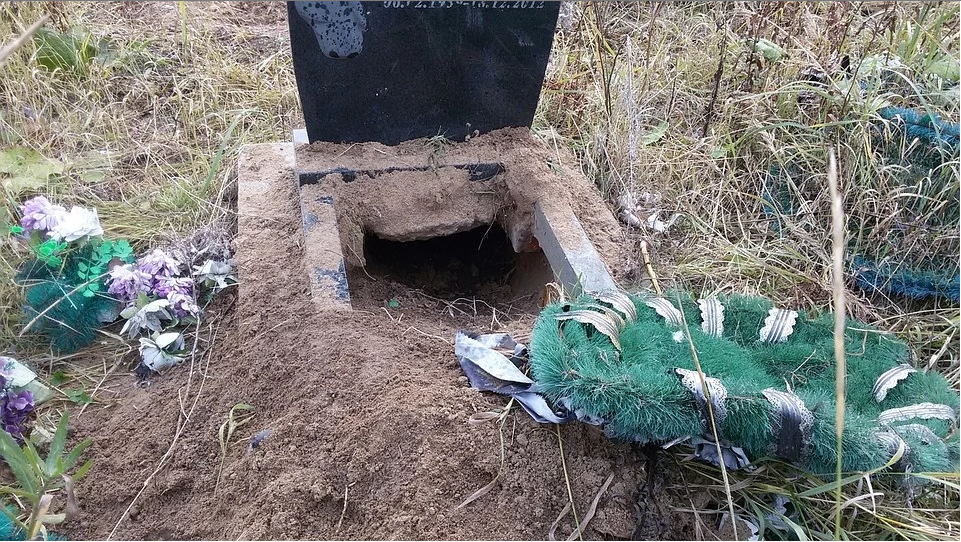 Медведи на ухтинском кладбище не только воруют еду, но и разрывают могилы