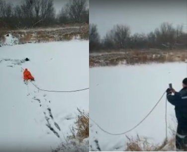 Раздался треск и жалобный скулеж: в Ухте собака провалилась под лед на реке