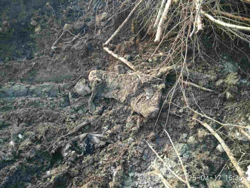 Экспертиза подтвердила, что в черепах, найденных под Ухтой, есть пулевые отверстия