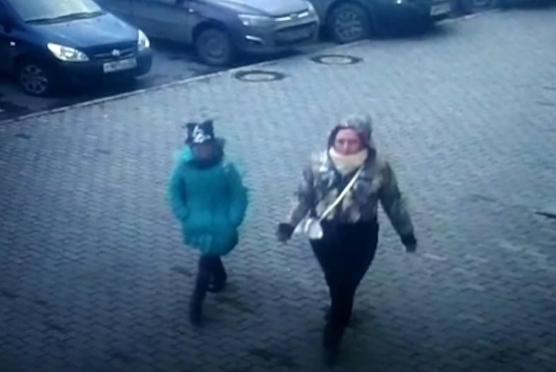 Новости России: девочка с хомячком обкрадывает чужие квартиры