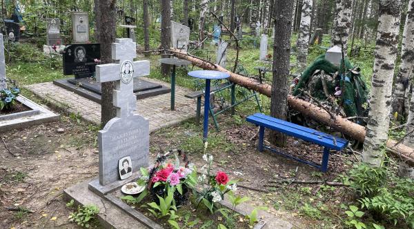 На Сосногорском кладбище могилы завалило деревьями