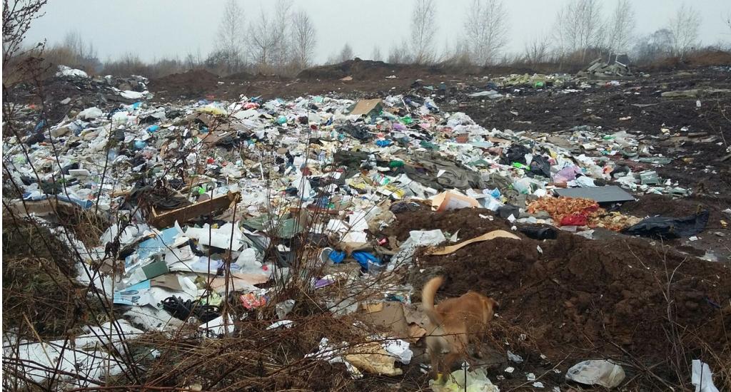 "Удар по экологии": ухтинку накажут за выброс мусора