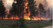 В Коми зафиксировано более двух десятков лесных пожаров