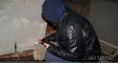 В Ухте наркополицейские задержали закладчиков с крупной партией гашиша