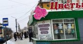 Ассоциация цветоводов поделилась информацией о подорожании цветов в России к 8 марта