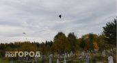 Ухтинские волонтеры приводят в надлежащий вид кладбище