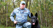 В Коми полицейская собака спасла заблудившегося пенсионера