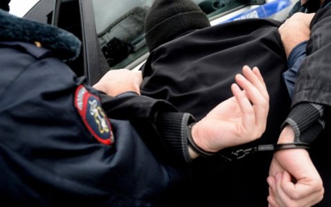 В Коми пьяный водитель ударил полицейского за остановку автомобиля
