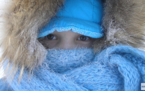 Зима, холода: на следующей неделе в Коми придут 40-градусные морозы
