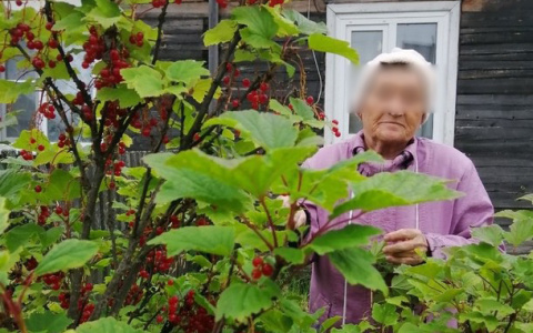 В Коми нашли мертвой 77-летнюю пропавшую бабушку