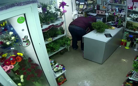 Появилось видео вооруженного ограбления цветочного магазина в Коми