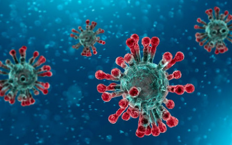 В Коми выявлено 2 новых случая заболевания коронавирусом