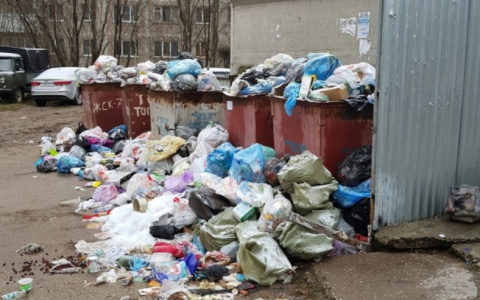 Прокуратура Коми потребовала администрацию поселка решить мусорный вопрос