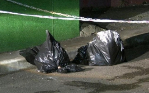 Следователи раскрыли причину смерти найденного в пакете младенца в Ухте