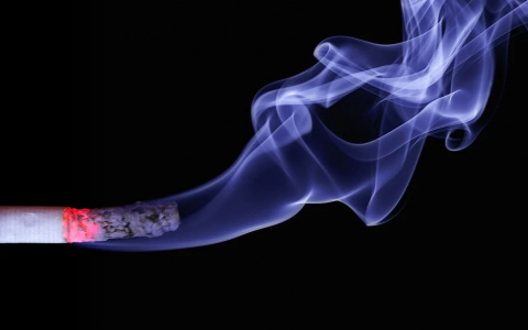 Коми начнет получать деньги практически из воздуха: источником станет табак